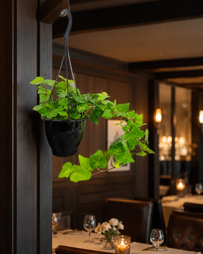Fake Hanging Ivy for Restaurant Shelves — Real Touch Ledge Plant