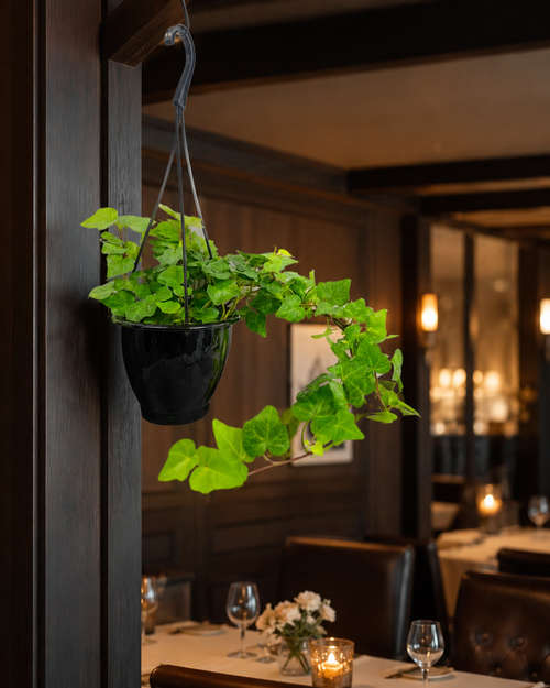 Fake Hanging Ivy for Restaurant Shelves — Real Touch Ledge Plant