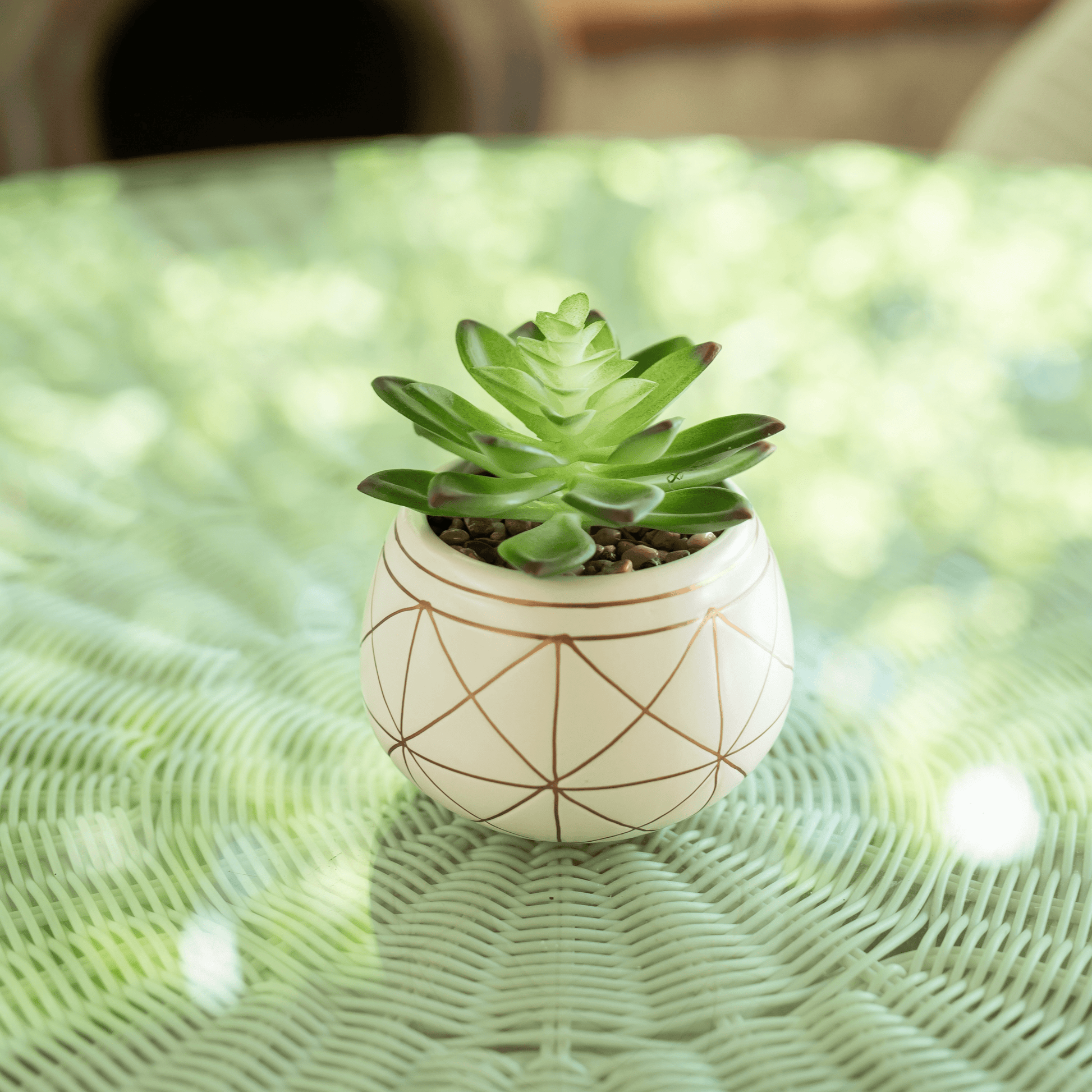 4" Tabletop Artificial Succulent in Geometric Print Ceramic Pot, White