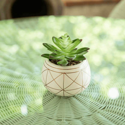 4" Tabletop Artificial Succulent in Geometric Print Ceramic Pot, White