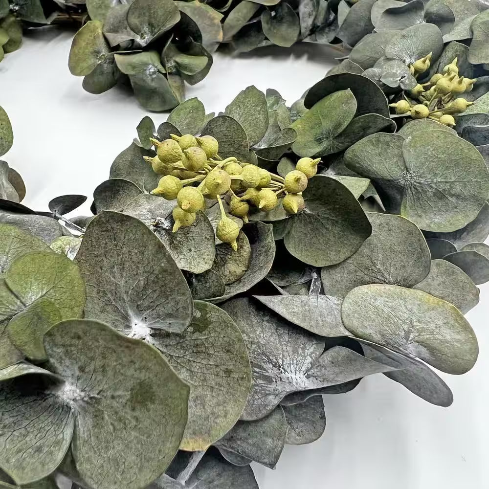14 In. Non Artificial Preserved Eucalyptus Leaves Heart Shape Wreath