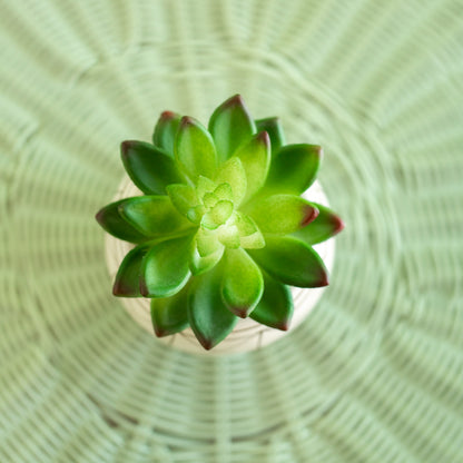 4" Tabletop Artificial Succulent in Geometric Print Ceramic Pot, White