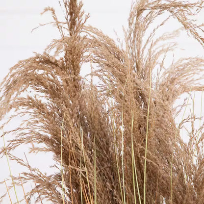 4 Ft. Artificial Pampas Grass