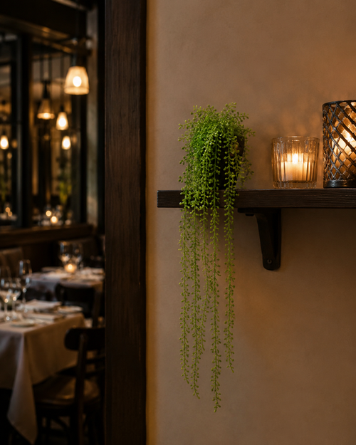 Fake String of Pearls Plant for Cafe Shelves — 40 Inch Hanging Succulent