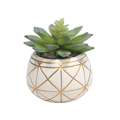 4" Tabletop Artificial Succulent in Geometric Print Ceramic Pot, White